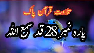 Para 28 tilawat quran pak para 28 tilawat  para 28  juz 28 qad samia llahu hd quran [upl. by Nea276]