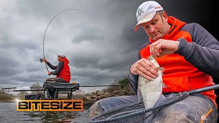 Steve Ringers ULTIMATE Skimmer Feeder Fishing Tips  Guru Bitesize 050 [upl. by Lemmuela551]