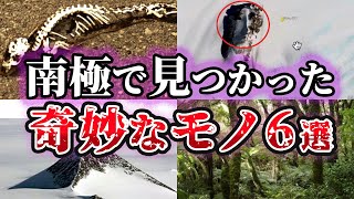 【ゆっくり解説】南極大陸で発見された奇妙なモノ6選 [upl. by Tanya]