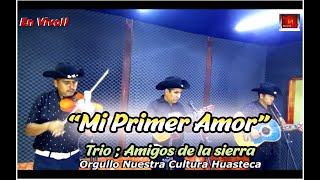 Temazooo al Estilo quotAMIGOS DE LA SIERRAquot  En Vivo [upl. by Mullane107]