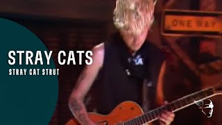 Stray Cats  Stray Cat Strut Live At Montreux 1981 [upl. by Yrrehc908]