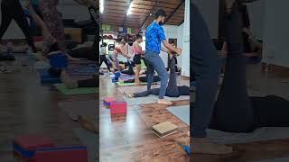 Iyengar yoga iyengaryoga yogapractice youtubeshorts [upl. by Turro515]