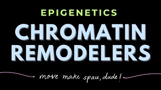 Discovery of Histone Chaperones  Chromatin remodeling complexes  Epigenetics  GATECSIRNET [upl. by Eimme]