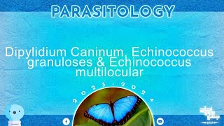 L3dipylidium caninum echinococcus granulosus echinococcus multilocularis parasitology [upl. by Anerok171]