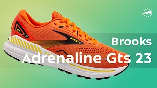 Кроссовки Brooks Adrenaline Gts 23 Обзор [upl. by Adnomal]