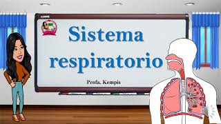 Sistema respiratorio [upl. by Mannie]