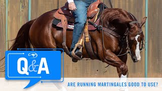 Are Running Martingales Good  QampA With Clinton Anderson [upl. by Navarro575]