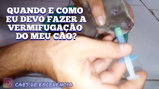 Quando e como fazer a vermifugação do cão filhote  Remédio de verme pra cachorro [upl. by Eidassac]