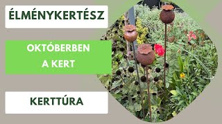 Októberi kerttúra🏡 [upl. by Rurik]