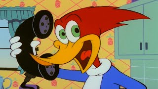 Woody Starts A Business  1 Hour of Woody Woodpecker Full Episodes [upl. by Anelem]