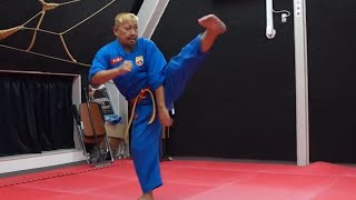 ベトナム総合武術 ボビナム Vovinam PART4 [upl. by Tabor]