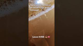 Début de fermentation dune bière avec une levure norvégienne KVEIK 12h après le brassage [upl. by Yedrahs520]