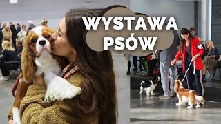 NASZA PIERWSZA WYSTAWA PSÓW RASOWYCH [upl. by Gareri]