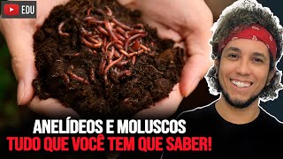 Anelídeos e Moluscos Reino Animal  Biologia com Patrick Gomes [upl. by Nuoras]