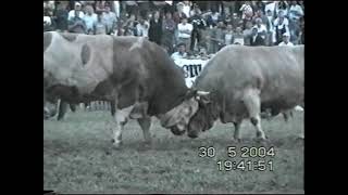 Bullfighting KORIDA NAJBOLJE BORBE 2004 PART 2 [upl. by Ordnazil516]