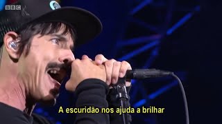 Red Hot Chili Peppers  Dark Necessities legendado [upl. by Elirpa]