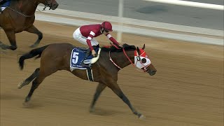 FOREVER YOUNG sets up Kentucky Derby tilt with UAE Derby glory [upl. by Assilaj]