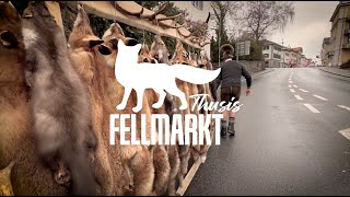 Fellmarkt in Thusis 2024 [upl. by Michelle42]