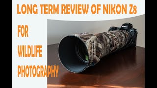 REVIEW OF NIKON Z8 FOR WILDLIFE PHOTOGRAPHY [upl. by Karoline]