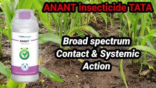 Anant insecticide Thiamethoxam 25WG [upl. by Ahcsim]