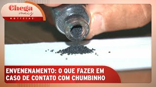 Toxicologista explica efeitos do chumbinho no corpo humano  Chega Mais Notícias 221024 [upl. by Etnom262]