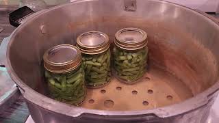 Canning green beans [upl. by Harelda593]