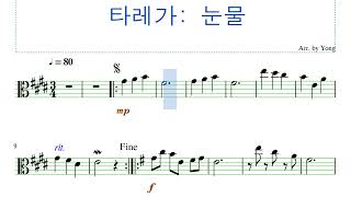 타레가 눈물 비올라 편곡 Tárrega Lágrima for Viola [upl. by Coe]