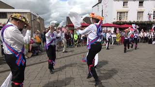 Hereburgh Morris dance quotOld Molly Oxfordquot at Warwick Folk Festival Saturday 29th July 2023 [upl. by Tail]