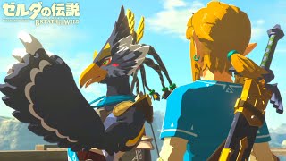 世界が絶賛した史上最高の神ゲー『 ゼルダの伝説 ブレス オブ ザ ワイルド 』14 [upl. by Jotham]