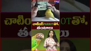 చాటింగ్ PARROT తో తంటాలు [upl. by Rustin]