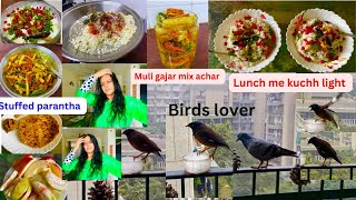 MULI GAJAR MIXED ACHAR CURD RICE KI RECIPE gobhi N muli ka parantha  whole day busy routine [upl. by Suzy]