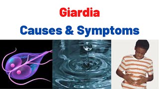 Giardiasis Fatty Stool SymptomsCauses Treatment Summary What is Giardia Giardia lamblia [upl. by Eenaffit]