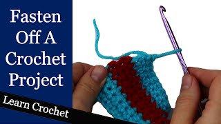 How to Finish a Crochet Project  Beginner Course Lesson 75 [upl. by Klusek711]