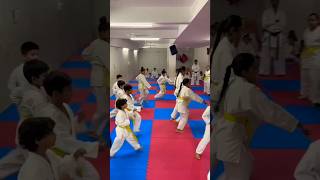 Karate training🔥🔥martialarts karate trending youtubeshorts ytshorts [upl. by Anderegg]