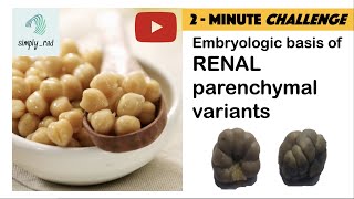 Renal parenchymal variants ultrasound [upl. by Philbin]