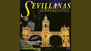 La Sevillana del Borracho [upl. by Assilak973]