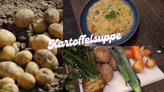 Kartoffelsuppe Einfaches Rezept für cremigen Genuss – Perfekt für kalte Tage [upl. by Alul]