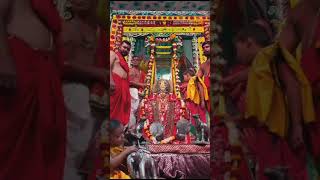 Shri Ranchhodraiji live Darshan Dakor Temple [upl. by Nadnal]