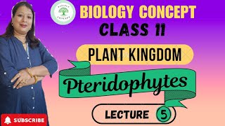 Plant kingdom Ch3 Class 11 Biology। Pteridophytes। Life cycle of Pteridophytes । [upl. by Hermione965]