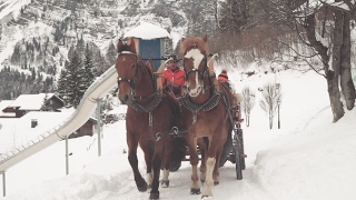 Kutschenfahrt und Märlistunde  Promenade en calèche  Giro in carrozza e fiabe serali [upl. by Eenel]