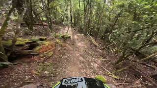 Old Mate Cobber into Topgun  Maydena Bike Park [upl. by Dittman741]