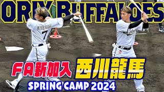 【FA新加入】雰囲気が吉田正尚そっくり 西川龍馬 天才打者のティーバッティング オリックス宮崎春季キャンプ2024 [upl. by Cadmann476]