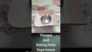 Vinegar And Baking Soda Experiment scienceexperimentsforschool chemistryexperiment [upl. by Haimerej706]