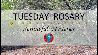 Tuesday Rosary • Sorrowful Mysteries of the Rosary 💜 October 8 2024 VIRTUAL ROSARY  MEDITATION [upl. by Lednahc]