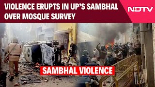 Sambhal Violence Latest News  Violence Erupts In UP Sambhal Over Mosque Survey Tear Gas Used [upl. by Aleil]