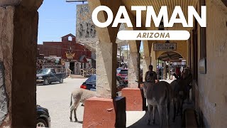 The Wild West Town Where Donkeys Roam the Streets [upl. by Clayson976]