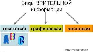 Формы представления зрительной информации [upl. by Dlonyar]