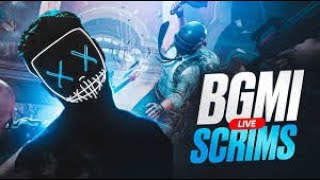 BGMI LIVE SCRIMS  Bmps Grind  Road To 500 Subscribers [upl. by Hutchison664]