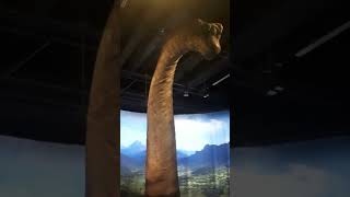 Brachiosaurus  Jurassic World the exhibition [upl. by Noiro]