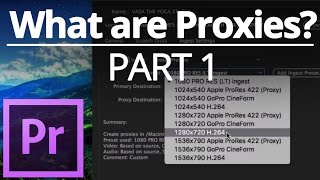 What are Proxy Files Part 1 💻 [upl. by Conni]